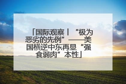国际观察丨“极为恶劣的先例”——美国横逆中东再显“强食弱肉”本性