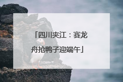 四川夹江：赛龙舟抢鸭子迎端午