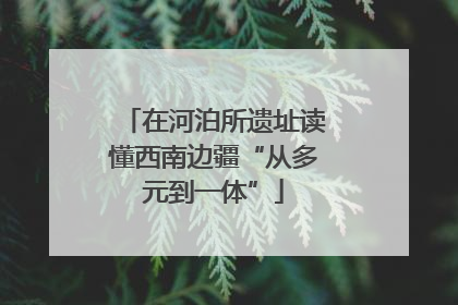 在河泊所遗址读懂西南边疆“从多元到一体”