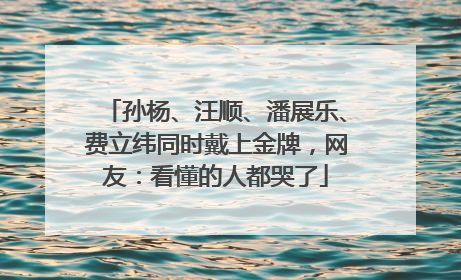 孙杨、汪顺、潘展乐、费立纬同时戴上金牌，网友：看懂的人都哭了