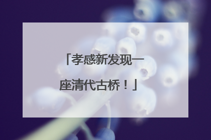 孝感新发现一座清代古桥！