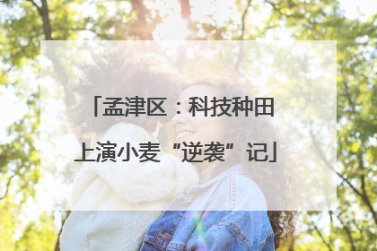 孟津区：科技种田 上演小麦“逆袭”记