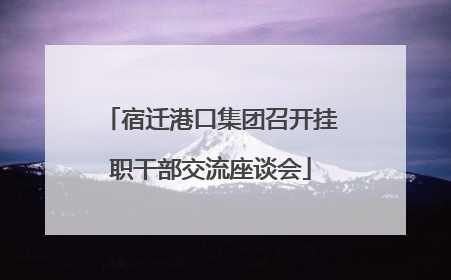 宿迁港口集团召开挂职干部交流座谈会