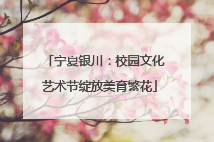 宁夏银川：校园文化艺术节绽放美育繁花