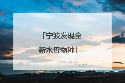 宁波发现全新水母物种