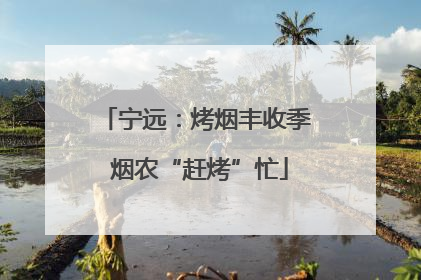 宁远：烤烟丰收季 烟农“赶烤”忙