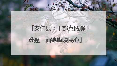 安仁县：干部真情解难题一面锦旗映民心