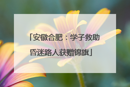 安徽合肥：学子救助昏迷路人获赠锦旗