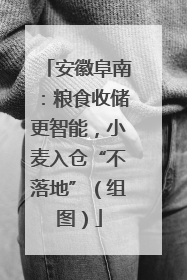 安徽阜南：粮食收储更智能，小麦入仓“不落地”（组图）