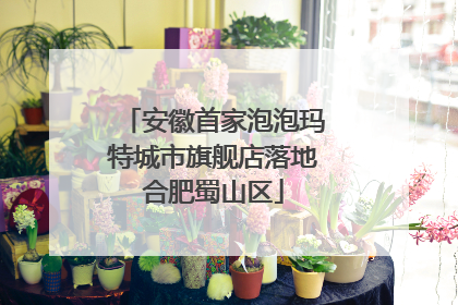 安徽首家泡泡玛特城市旗舰店落地合肥蜀山区