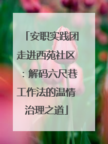 安职实践团走进西苑社区：解码六尺巷工作法的温情治理之道