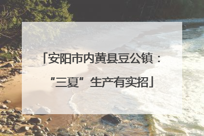 安阳市内黄县豆公镇：“三夏”生产有实招