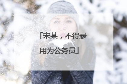 宋某，不得录用为公务员