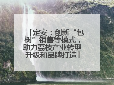 定安：创新“包树”销售等模式，助力荔枝产业转型升级和品牌打造