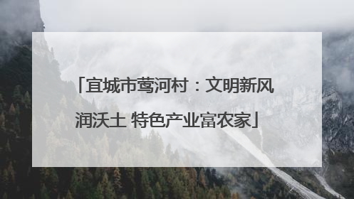 宜城市莺河村：文明新风润沃土 特色产业富农家