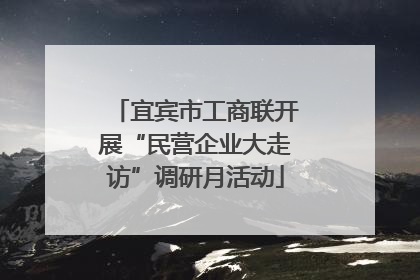 宜宾市工商联开展“民营企业大走访”调研月活动