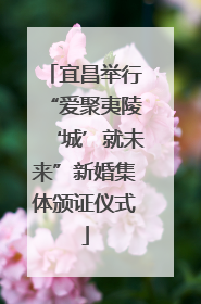 宜昌举行“爱聚夷陵‘城’就未来”新婚集体颁证仪式