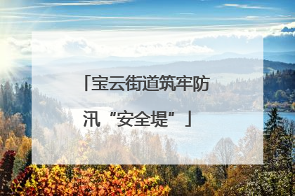 宝云街道筑牢防汛“安全堤”