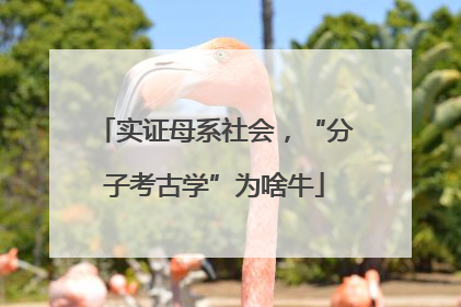实证母系社会，“分子考古学”为啥牛