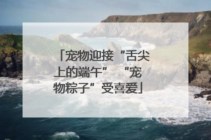宠物迎接“舌尖上的端午” “宠物粽子”受喜爱
