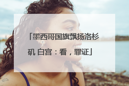 墨西哥国旗飘扬洛杉矶 白宫：看，罪证