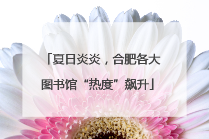 夏日炎炎，合肥各大图书馆“热度”飙升