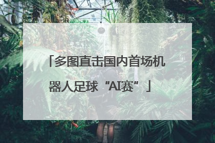多图直击国内首场机器人足球“AI赛”
