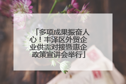 多项成果振奋人心！丰泽区外贸企业供需对接暨惠企政策宣讲会举行
