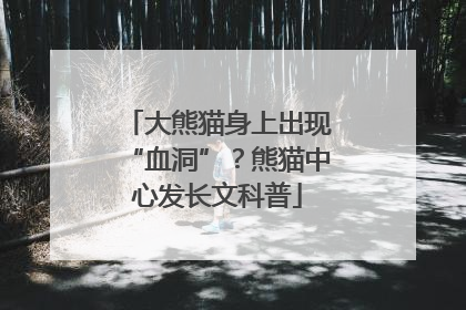 大熊猫身上出现“血洞”？熊猫中心发长文科普