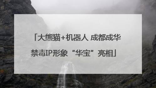 大熊猫+机器人 成都成华禁毒IP形象“华宝”亮相