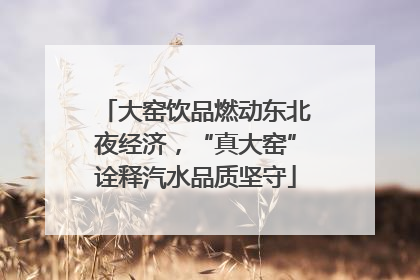 大窑饮品燃动东北夜经济，“真大窑”诠释汽水品质坚守