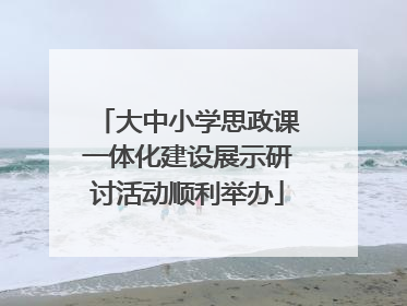 大中小学思政课一体化建设展示研讨活动顺利举办