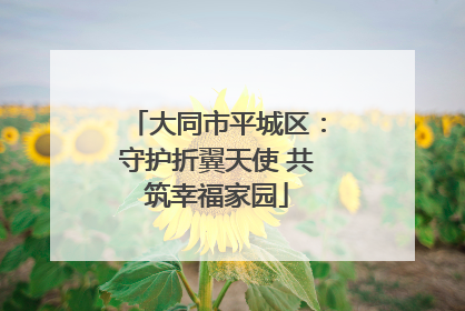 大同市平城区：守护折翼天使 共筑幸福家园