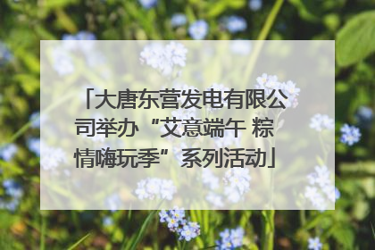 大唐东营发电有限公司举办“艾意端午 粽情嗨玩季”系列活动