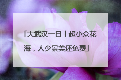 大武汉一日丨超小众花海，人少景美还免费