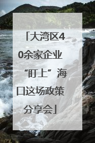 大湾区40余家企业“盯上”海口这场政策分享会