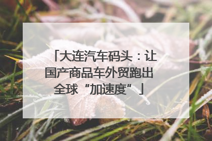 大连汽车码头：让国产商品车外贸跑出全球“加速度”