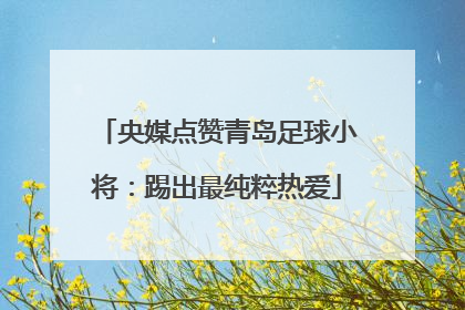 央媒点赞青岛足球小将：踢出最纯粹热爱