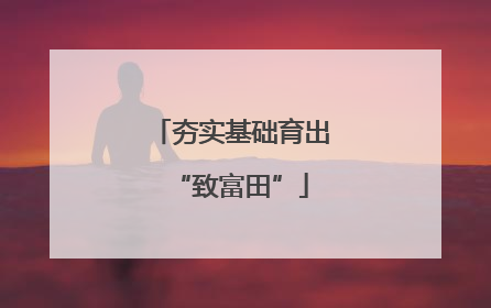 夯实基础育出“致富田”