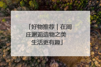 好物推荐｜在周庄邂逅造物之美 生活更有趣