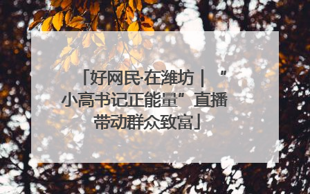 好网民·在潍坊｜“小高书记正能量”直播 带动群众致富
