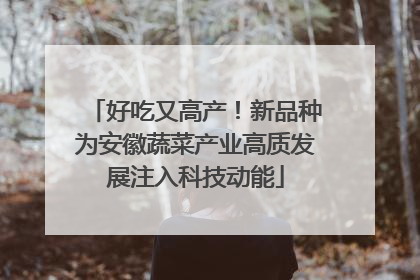 好吃又高产！新品种为安徽蔬菜产业高质发展注入科技动能