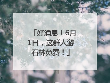 好消息！6月1日，这群人游石林免费！