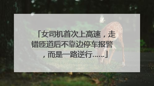 女司机首次上高速，走错匝道后不靠边停车报警，而是一路逆行……
