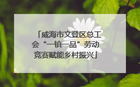 威海市文登区总工会“一镇一品”劳动竞赛赋能乡村振兴