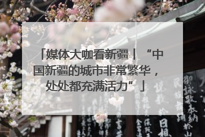 媒体大咖看新疆丨“中国新疆的城市非常繁华，处处都充满活力”