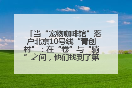 当“宠物咖啡馆”落户北京10号线“青创村”：在“卷”与“躺”之间，他们找到了第三种生活公式