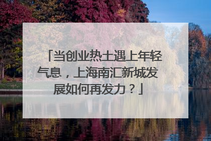 当创业热土遇上年轻气息，上海南汇新城发展如何再发力？