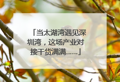 当太湖湾遇见深圳湾，这场产业对接干货满满……