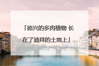 德兴的多肉植物 长在了迪拜的土地上